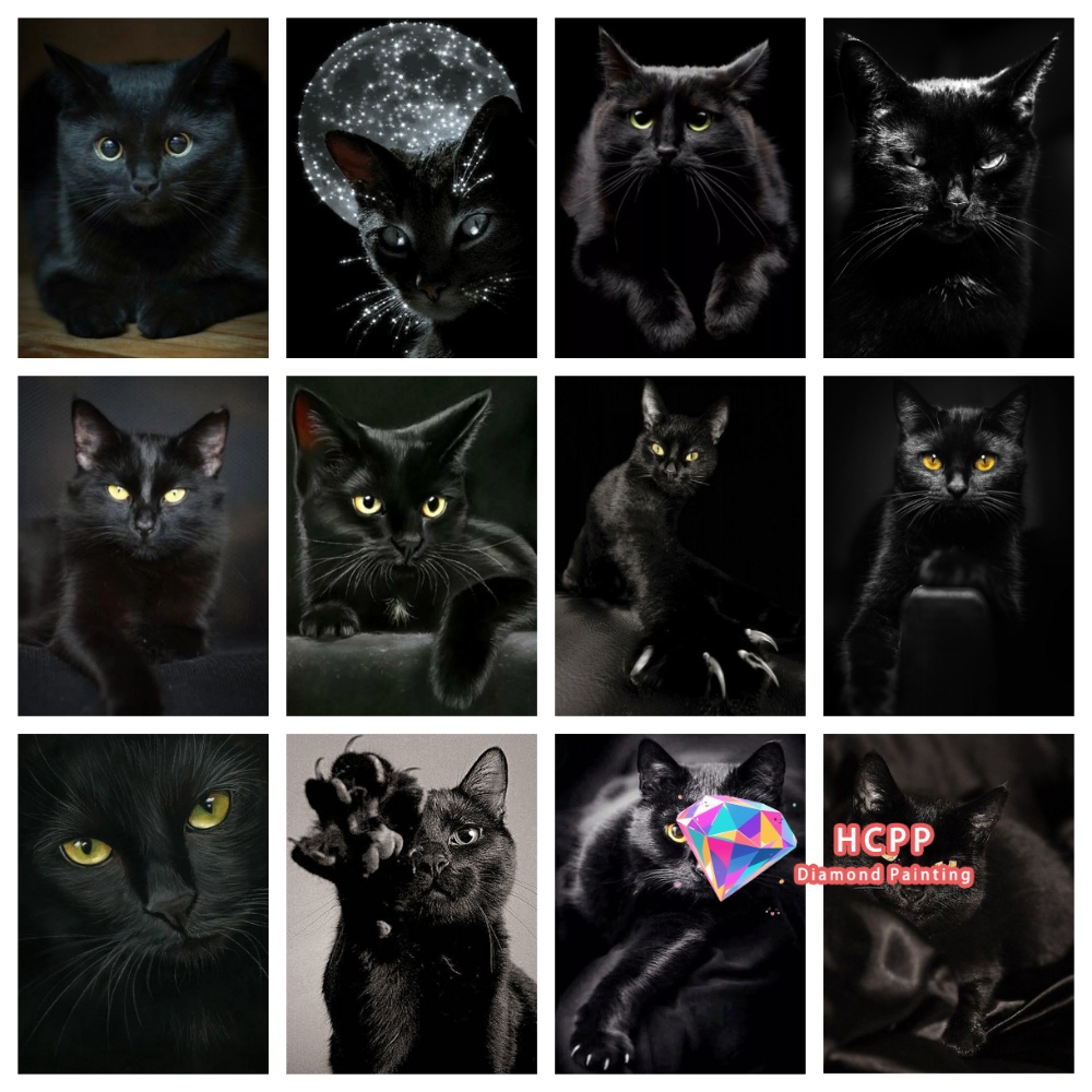 Resin Art And Craft - unframe Black Cat Animal Diamond Painting